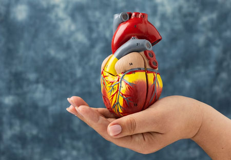 Doença cardíaca valvular